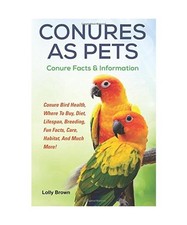 Conures pets conure for sale  MAIDENHEAD