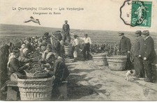 Champagne illustree vendanges d'occasion  France