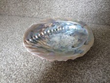 Vintage abalone shell for sale  ROCHFORD