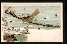 Lithographie westerland totala gebraucht kaufen  Berlin