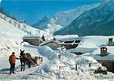 Animaux chevaux hiver d'occasion  Fruges