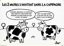Animaux vaches carte d'occasion  Fruges