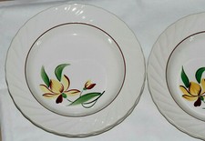 Assiettes creuses peintes d'occasion  La Bégude-de-Mazenc
