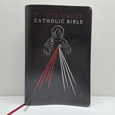Holy bible divine for sale  Bronx
