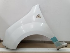 Kotflügel renault kangoo gebraucht kaufen  Berlin