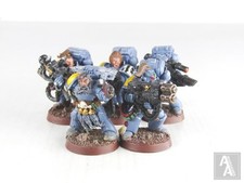 Long fangs pack for sale  WESTBURY