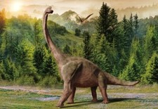 Postkarte brachiosaurus tier gebraucht kaufen  Hamdorf