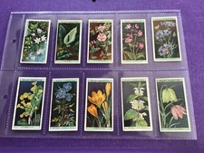 Wild flowers full for sale  WORTHING