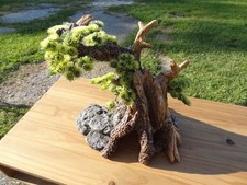 Tree hide aquarium for sale  Indianapolis