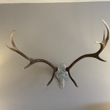 Deer antler sculpture for sale Deer antler sculpture for sale  LONDON