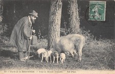 Old postcard boret d'occasion  Expédié en Belgium