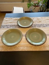 Stück dessertteller grün gebraucht kaufen  Gladbeck