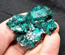 40mm dioptase crystals for sale  Tucson
