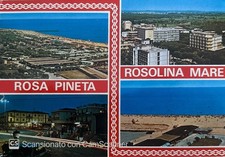 Rosolina mare f.g. usato  Italia
