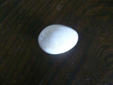 bantam eggs for sale bantam eggs for sale HOLMFIRTH