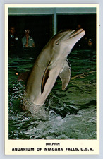 Cartolina epoca acquario usato  Spedire a Italy