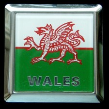 Wales car badge for sale  SWANSEA