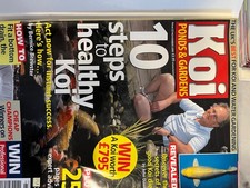 koi magazine for sale  SALTASH