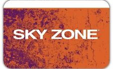 Sky zone gift for sale  Staten Island