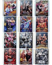 Poster locandina wrestling usato  Roma