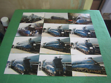 Set mallard sir for sale  MELTON MOWBRAY
