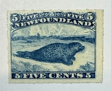 Newfoundland 1876 blue for sale  Sacramento