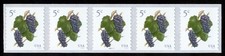 5038 pinot noir for sale  Traverse City