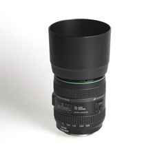 Canon 300mm 5 gebraucht kaufen  Hamburg