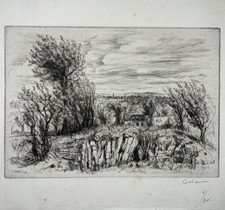 Carriere paysage jean d'occasion  Pluvigner