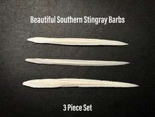 Southern stingray barb for sale  Corpus Christi