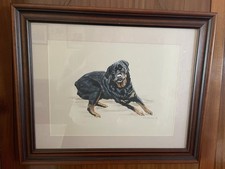 rottweiler dog for sale rottweiler dog for sale COVENTRY