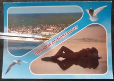 Montalivet naturiste plage d'occasion  Genlis