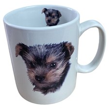 Yorkshire terrier puppy for sale  Ocala