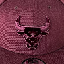 Nba chicago bulls for sale  Antioch