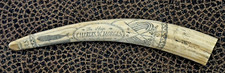 Historic scrimshaw walrus for sale  Santa Barbara
