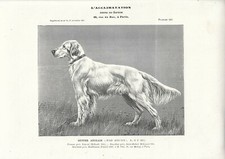Stampa antica cane usato  Lecco