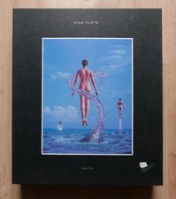 Pink floyd shine gebraucht kaufen  Hof