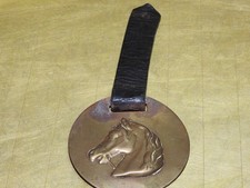 Messing rosetten fahrzaum gebraucht kaufen  Höchstädt a.d.Donau