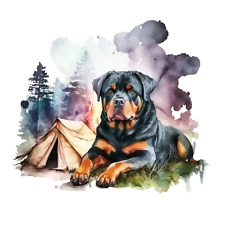 Adesivo auto cane usato Adesivo auto cane usato  Spedire a Italy