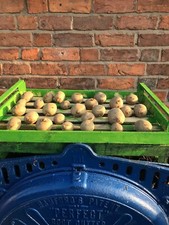 Small green reclaimed for sale  WHITCHURCH