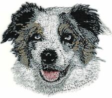 Australian shepherd dog for sale  Syosset