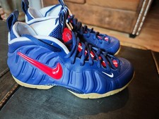 Nike foamposite usa gebraucht kaufen  Mainz