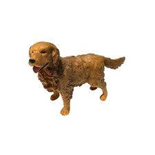 Golden retriever dog for sale  Springport