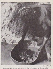 1952 laveuse terre d'occasion  France