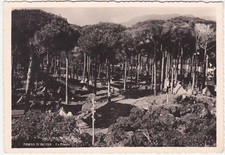 Porto ischia napoli usato Porto ischia napoli usato  Italia