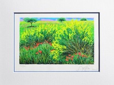 Franco azzinari serigrafia usato  Fermignano