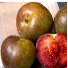 Flavor supreme pluot for sale  Natchitoches
