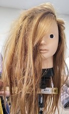 Female mannequin head for sale  Peoria