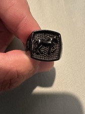 Black titanium horse for sale  Irvine