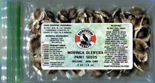 Moringa oleifera pkm1 for sale  Phoenix